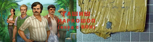 индика Богданович